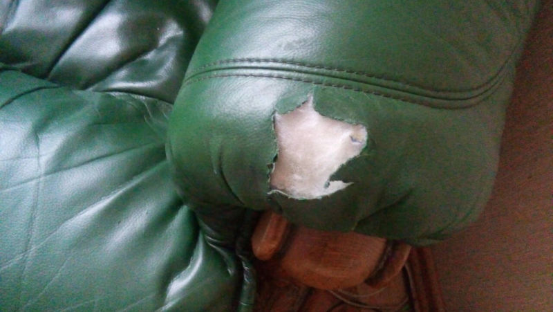 покраска и восстановление дыр в кожаных диванах